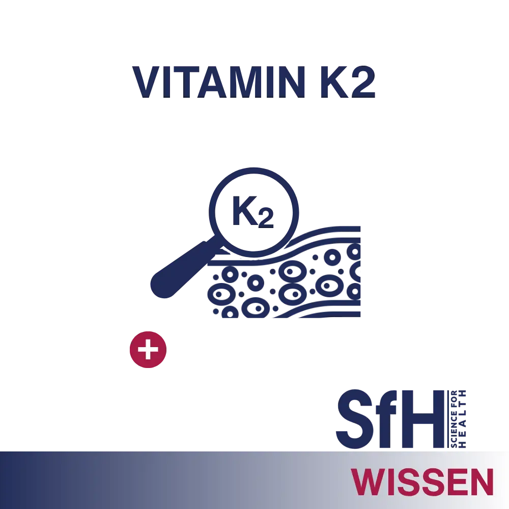 Wissenskachel Vitamin K2